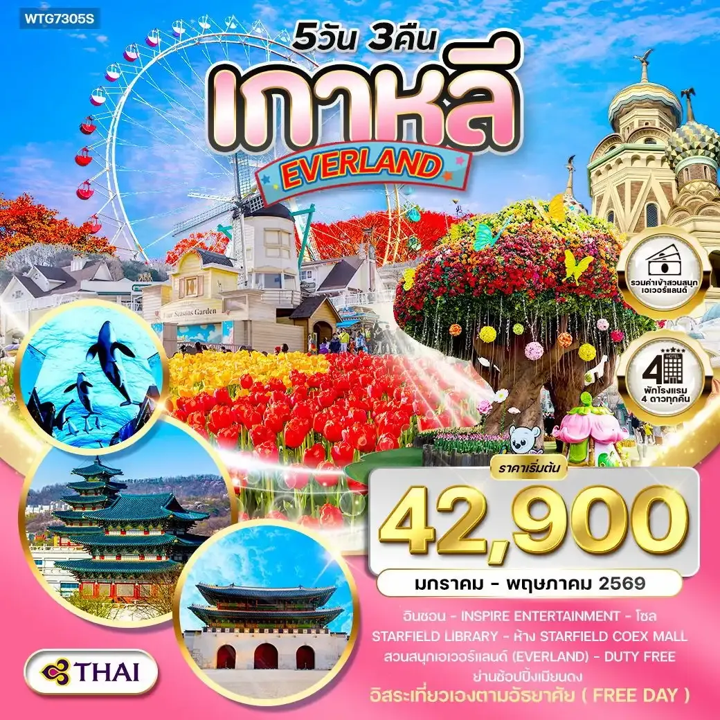 ทัวร์เกาหลี - โซล - สวนสนุก EVERLAND (Freeday) 5วัน 3คืน (TG)