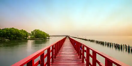 สายการบินที่เราให้บริการ