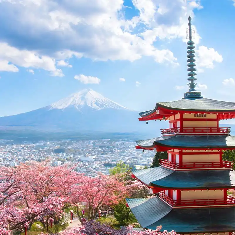 สายการบินที่เราให้บริการ